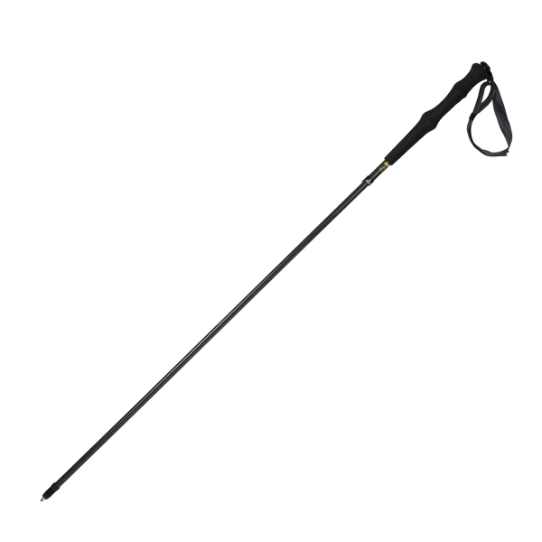 NPOT POLES Ultralight Carbon Running Pole